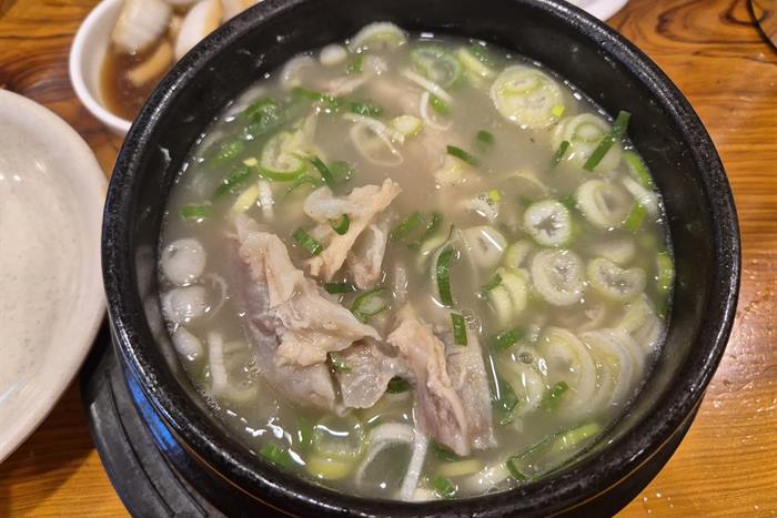 마포양지설렁탕 — 오래된 단골집, 파김치와 도가니탕